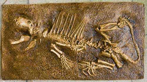 Reproduction Fossile Dimetrodon