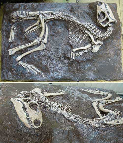 Reproduction Fossile dinosaure othniela rex